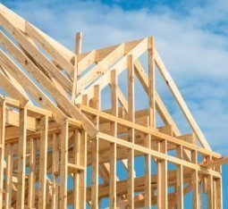 Les in lesni izdelki